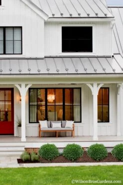 Korean Dwarf Boxwood - Buxus Sinica Var. Insularis 'Nana' - 1 Gallon Pot 11 Korean Dwarf Boxwood - Buxus Sinica Var. Insularis 'Nana' - 1 Gallon Pot -Garden Plant Seeds Boxwood Korean Dwarf Insularis Nana 4