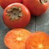American Persimmon Tree - Diospyros Virginiana - 2 Gallon Pot 2 American Persimmon Tree - Diospyros Virginiana - 2 Gallon Pot -Garden Plant Seeds Persimmon American 1