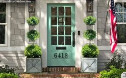 Green Mountain Boxwood 3-Ball Poodle Tier Topiary - 6 Gallon Pot -Garden Plant Seeds buxus green mountain 3 ball topiary 20