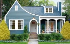 Gold Mop Threadleaf Cypress - 6 Pack Of 1 Gallon Pots -Garden Plant Seeds chamaecyparis pisifera gold mop cypress 105