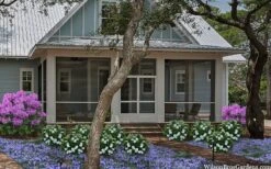 Snow Globe Gardenia - 3 Gallon Pot -Garden Plant Seeds gardenia jasminoides snow globe 2