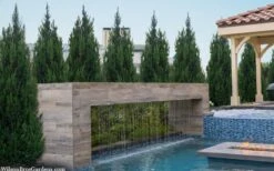 Spartan Juniper - 7 Gallon Pot (3-4') -Garden Plant Seeds juniperus chinensis spartan columnar juniper 40